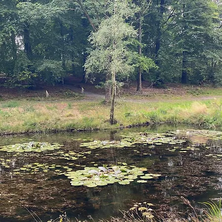 6 Person In Hovborg-by Traum Hébergement de vacances *